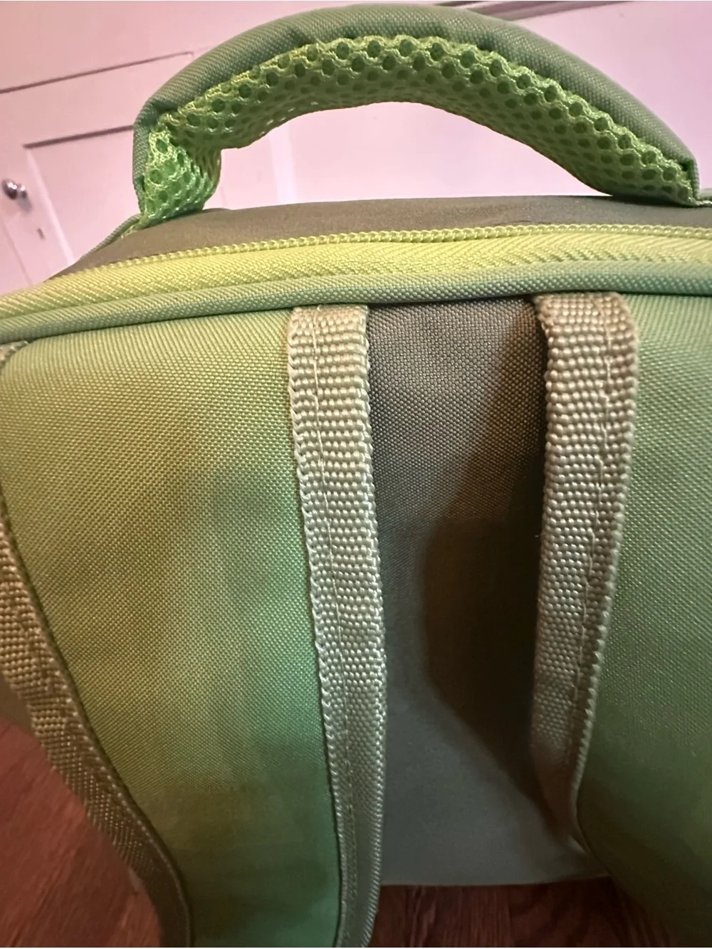 Lakeshore Kids Fold-Out Dinosaur Play Backpack - Green Trim